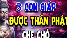 Cuối tuần 3 con giáp đụng đâu cũng có tiền, cuộc sống dư dả, may mắn khó ai sánh kịp