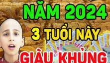 Năm 2024 là thời kỳ HOÀNG KIM đến với 3 con giáp, ôm cục tiền khủng, sự nghiệp cực lên hương