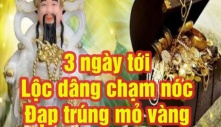 Đúng 3 ngày tới, 4 tuổi này vượt vũ môn thành công, Cá Chép thành Rồng, đắc lộc đắc tài, chẳng thiếu tiền xài