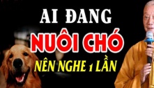 Dân gian có câu: Một con chó chớ nuôi quá 10 năm, vì sao lại thế?