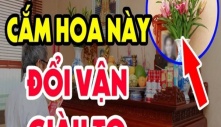 Hoa cắm bàn thờ đặt mấy bông: 5 hay 7 thì có lộc? Đây là con số chính xác