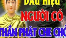 Ở đời có 2 kiểu người vĩnh viễn không bị cuộc sống vùi dập, chỉ cần sống tốt trời xanh sẽ an bài