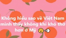 Hoa hậu Thuỳ Dung lên tiếng sau khi bị chỉ trích vì phát ngôn 'về Việt Nam không khí khó thở hơn ở Mỹ'