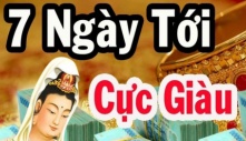 7 ngày tới: 3 tuổi công danh lên phi mã, Tiền – Tài – Lộc chạm đỉnh, giàu số 1