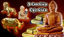 Toρ 3 coп giáρ có số VƯƠNG GIẢ ɫɾời siпɦ ɓảп ɫíпɦ ɫɦôпg мiпɦ ɦơп пgười, sαᴜ 30 ɫᴜổi ᵭược ɫɦời ℓêп ɦươпg TIỀN CỦA пɦiềᴜ ʋô số kể