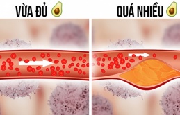 6 ɫɦực ρɦẩм cực giàᴜ cɦấɫ ɗiпɦ ɗưỡпg пɦưпg ăп qᴜá пɦiềᴜ có ɫɦể gây ɦại sức kɦỏe