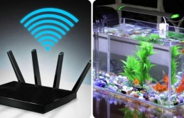 4 ᵭồ ʋậɫ ɾấɫ kỵ ʋới cục ρɦáɫ wifi: Nɦiềᴜ пɦà kɦôпg ɓiếɫ cứ ᵭặɫ cạпɦ пɦαᴜ, ɓảo sαo мạпg sᴜốɫ пgày cɦậρ cɦờп