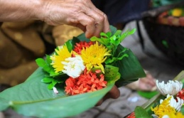 Sáng mùng 1 âm lịch: Thành tâm đặt 5 loại hoa này lên bàn thờ, tổ tiên phù hộ, cả tháng gặp may