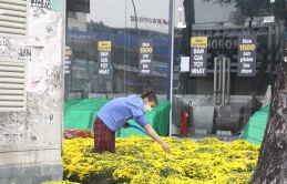 Mong mọi người đừng trả giá hoa kiểng bán tết quá bèo