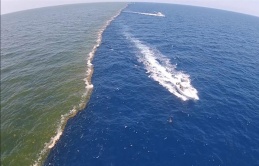 Unusual: The Ocean Contains Two Separate Bodies of Water that Cannot Mix Together