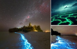 Enchanting Bioluminescent Beaches Around the Globe: Exploring the Mesmerizing Glow of these Mystical Shores