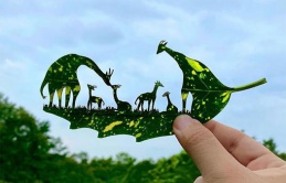 The art works from leaves will surprise you