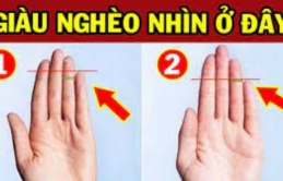 Đàn ông hay phụ nữ có 1 trong 4 dấu hiệu này ở ngón áp út, cuộc đời giàu sang sung túc hơn người