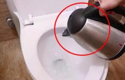 Nhân viên khách sạn mách: Đun nước sôi đổ vào toilet sau khi nhận phòng, bạn sẽ nhận được ưu đãi lớn