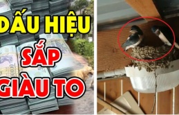 Nhà có 3 dấu hiệu này: Chúc mừng bạn ăn ở hiền lành, đất có kho báu phong thủy, gia chủ sắp giàu to