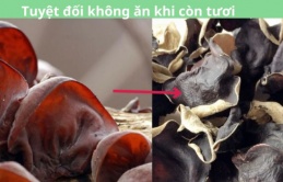 Tại sao không được ăn mộc nhĩ tươi? Lưu ý dùng mộc nhĩ mà người nội trợ nhất định phải nhớ kẻo ân hận