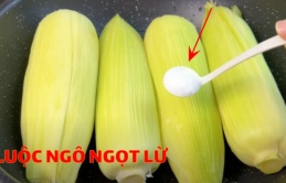 Luộc ngô đừng cho đường: Thêm thứ này, ngô thơm mềm, ngọt lừ