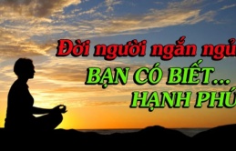 Nếm đủ đắng cay cuộc đời, tôi nghiệm ra: Chỉ khi trải qua 4 cảnh này, mới biết đâu là hạnh phúc thật sự