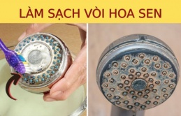 Vòi sen dùng lâu tích cặn bẩn, nước chảy yếu: Ngâm vào thứ nước này, chất bẩn tự bong, loại sạch vi khuẩn