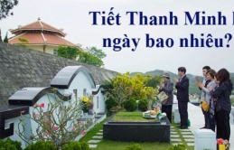 Đi tảo mộ đừng mang hoa hồng, hoa đồng tiền: Đây mới là 3 loại hoa phù hợp, ai không biết quá phí