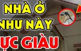 Nhà có 4 điều này: Chúc mừng bạn đất có kho báu phong thủy, càng ở càng tích phúc, giàu có 3 đời