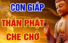 Có căn phú quý: 4 tuổi Phật độ tận nơi, ăn ở hiền lành là phúc lộc đầy đủ