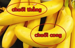 Chuối cong và chuối thẳng có sự khác biệt lớn: Người bán tiết lộ sự thật, biết để không mua nhầm