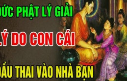 Vì sao đứa trẻ lại muốn đầu thai vào nhà bạn! Dù có con hay không bạn cũng nên đọc