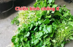 Loại rau cực rẻ ở chợ Việt được Mỹ xếp tốt số 1 thế giới, làm nhiều món ngon lại chống K hiệu quả