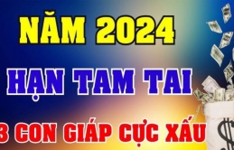 3 năm Tam Tai không bằng 1 năm Thái Tuế: 3 tuổi xung Thái Tuế năm 2024 đen đủ đường, cẩn thận trắng tay