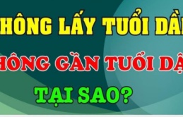 Nghe theo ông bà dặn: Không yêu tuổi Tý, không lấy tuổi Dần, không gần tuổi Dậu, tại sao?