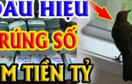 Tổ Tiên nói: ‘4 con vật là đệ tử Thần Tài, gọi tiền bạc về nhà’, thấy đừng đuổi đi