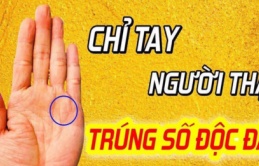 4 dấu hiệu trong lòng bàn tay chứng tỏ số phú quý giàu sang