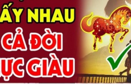 2 tuổi này khắc khẩu nhưng lấy nhau được lộc con cái, vượng đường làm ăn: Càng bên nhau lâu càng có phúc