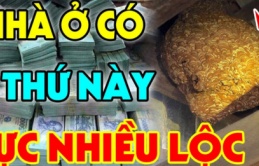 Nhà ai có 5 dấu hiệu này: Chúc mừng gia đình ở trong mảnh đất có kho báu phong thủy, cực giàu