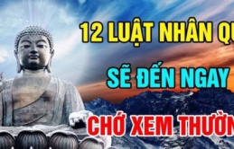 12 luật nhân quả sẽ đến ngay trước mắt đừng nên xem thường