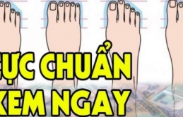 Thầy tướng số nói chẳng sai: Nhìn chiều dài ngón chân biết tương lai giàu sang hay nghèo hèn, khốn khó