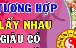 Vợ chồng đúng tuổi và mệnh này kết hợp với nhau là phúc 10 đời, đại cát đại lợi, ‘tiền vào như nước’