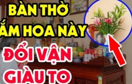 Chọn hoa cúng Rằm: Có 1 bông này trên bàn thờ thần Tài ưng bụng, ban lộc gấp đôi