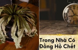 Trong nhà có 3 thứ này 'nằm im': Cảnh báo điềm xui đang tới vứt ngay càng sớm càng tốt