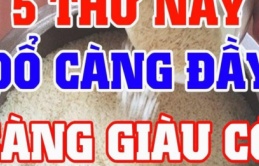 Trong nhà có 5 thứ phải đổ thật đầy, để trống không Thần Tài xa lánh, của nả kéo nhau đi hết