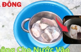 Cá đông lạnh cứ thêm vài giọt này, chỉ 5 phút là mềm, không tanh, giữ nguyên chất bổ