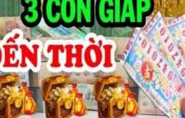 3 con giáp nói ít làm nhiều, đến lúc thành công mới biết họ là ai: Đứng đầu là Dậu