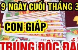 Từ ngày 22/4 đến 30/4, 3 con giáp trúng đậm tiền tài, ngồi không hưởng phước, phú quý vây quanh, phát tài phát lộc