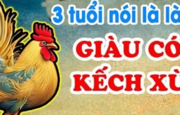 3 con giáp nói ít làm nhiều, đến lúc thành công mới biết họ là ai: Đứng đầu là Dậu