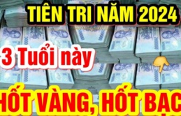 3 tuổi số đỏ như son trong tháng 6 Dương: 1 tuổi cá Chép hóa Rồng đạp trúng Hố Vàng cực kỳ giàu có