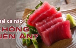 Có 1 loại cá 'ngậm' toàn thủy ngân, người bán cho không cũng đừng lấy về