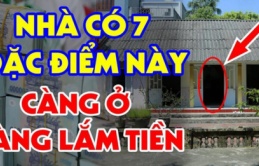 Nhà ai có 7 dấu hiệu này: Chúc mừng vì ở trong mảnh đất có kho báu phong thủy, cực giàu