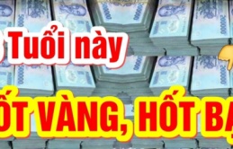 7 tháng tới, từ tháng 5 Âm tới Tết 2025: 3 tuổi đệ tử Thần Tài lộc Trời rơi trúng đỏ cả Tình -Tiền