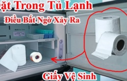 Ban đêm đặt cuộn giấy vệ sinh vào tủ lạnh: Sáng hôm sau điều kỳ diệu xảy ra khiến ai cũng muốn làm theo